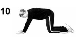 Quadruped starting position for back rehabilitation exercise