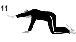 Quadruped arm raise back rehabilitation exercise