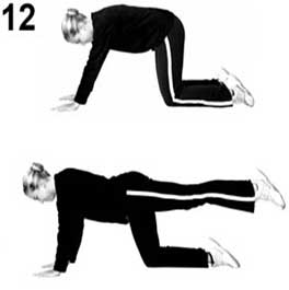 Quadruped hip extension core strengthening exercise