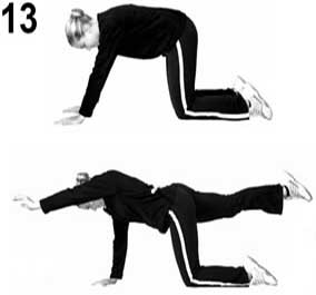 Bird dog core stability exercise demonstration